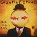 This Desert Life - Counting Crows lyrics