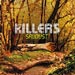Sawdust - The Killers lyrics