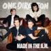 Made In The A.M. - One Direction lyrics