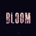 Bloom - Lewis Capaldi lyrics