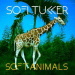 Soft Animals - Sofi Tukker lyrics