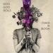 Chaos In Bloom - Goo Goo Dolls lyrics