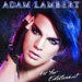 For Your Entertainment - Adam Lambert lyrics