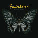 Black Butterfly - Buckcherry lyrics
