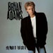 You Want It You Got It - Bryan Adams lyrics