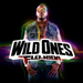 Wild Ones - Flo Rida lyrics