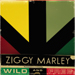 Wild And Free - Ziggy Marley lyrics