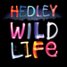 Wild Life - Hedley lyrics