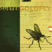 goldfly