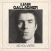 As You Were - Liam Gallagher lyrics