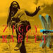 Dragonfly - Ziggy Marley lyrics