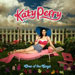 One of the Boys - Katy Perry lyrics